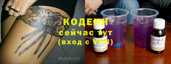 PSILOCYBIN Сясьстрой
