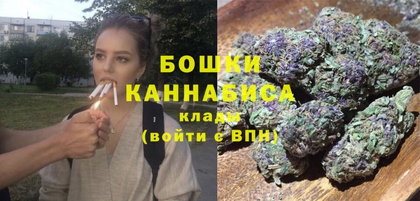 дурь Тавда