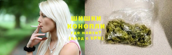 дурь Тавда