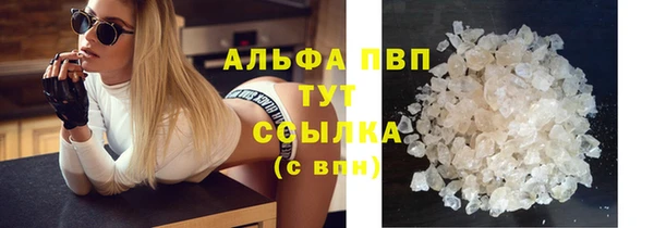 дурь Тавда