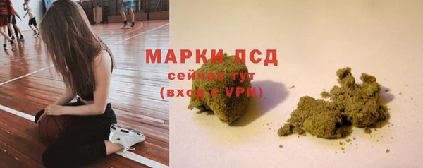 дурь Тавда