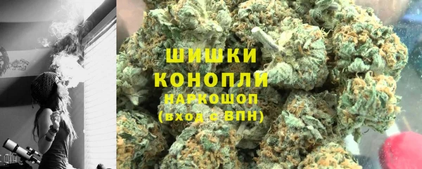 ECSTASY Осинники