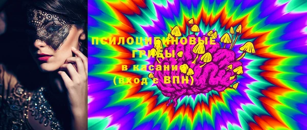 дурь Тавда