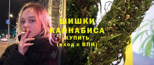 PSILOCYBIN Сясьстрой