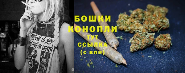 твердый Осташков
