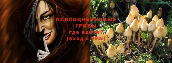 PSILOCYBIN Остров