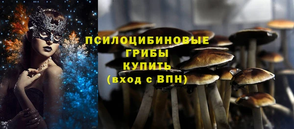PSILOCYBIN Остров